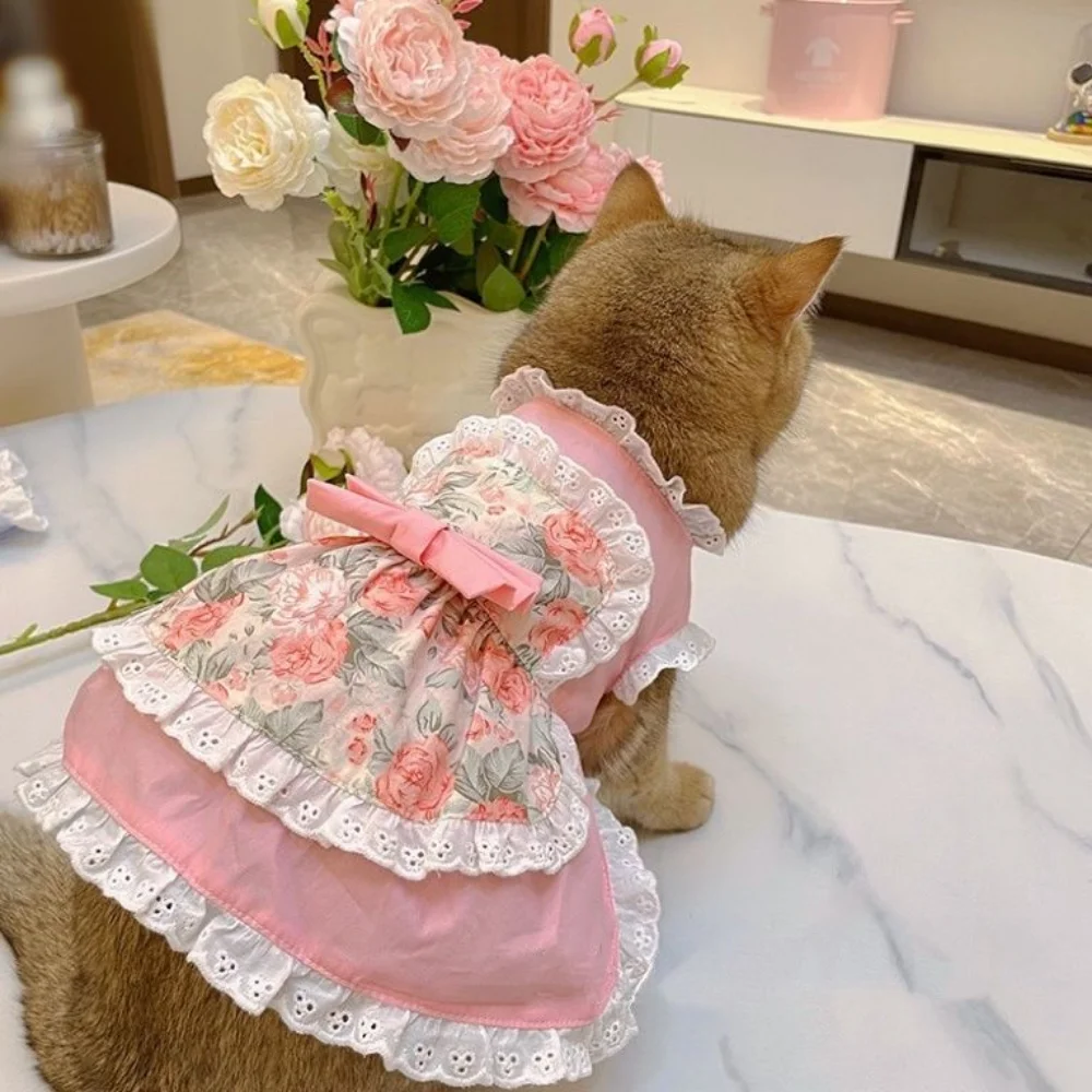 Pet Cute Apron Dress Lace Flor - Lace Teddy Lingerie ulasan dan harga